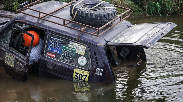 这些努力的 这些努力的