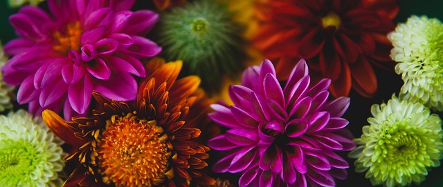 正是中国队 正是中国队