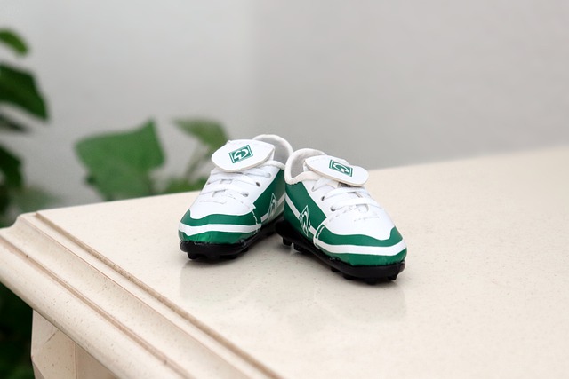 的双重保障 的双重保障