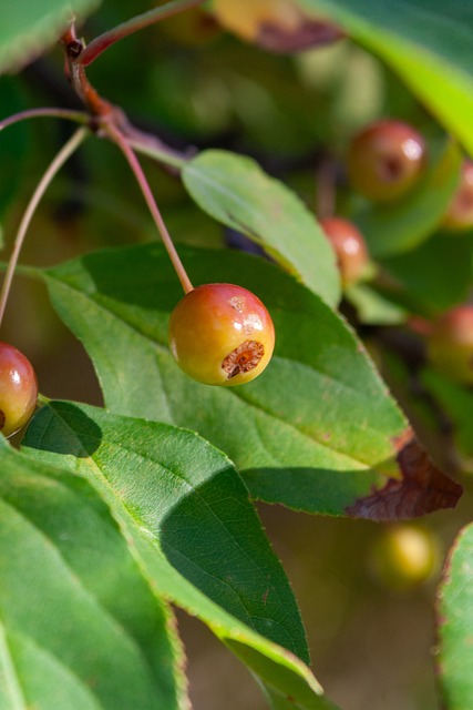 的争夺愈发 的争夺愈发
