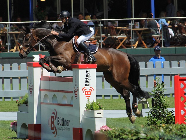 足球的魅力 足球的魅力