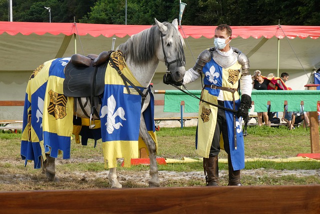 球迷的心 球迷的心