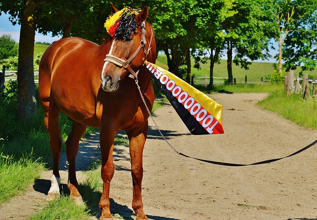 了广泛讨论 了广泛讨论