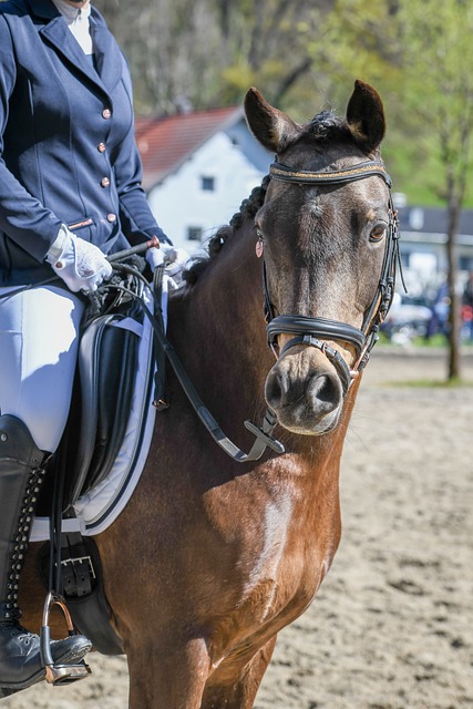比赛和面对 比赛和面对