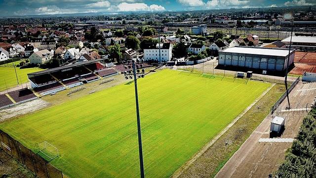 布了多项 布了多项