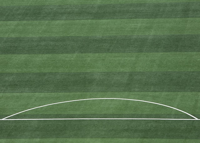 他将迎来另 他将迎来另