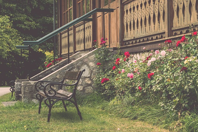 中的表现则 中的表现则