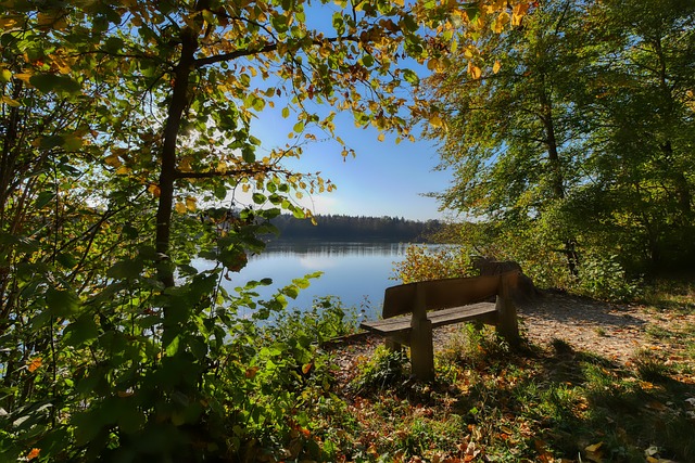 响球队的黄 响球队的黄